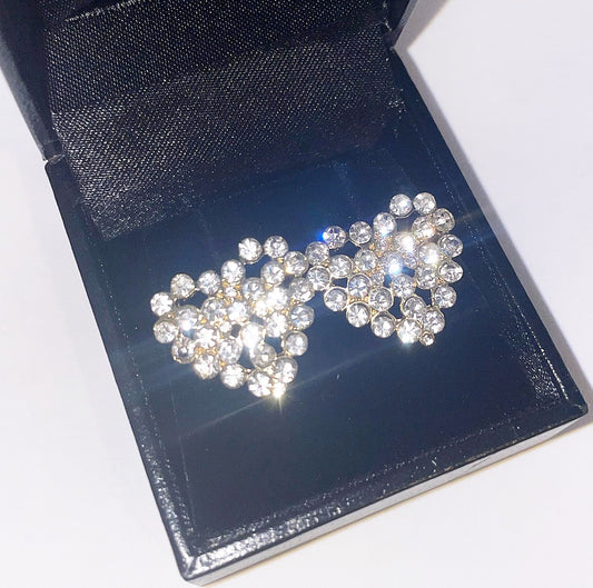 DAZZLING HEART STUDS